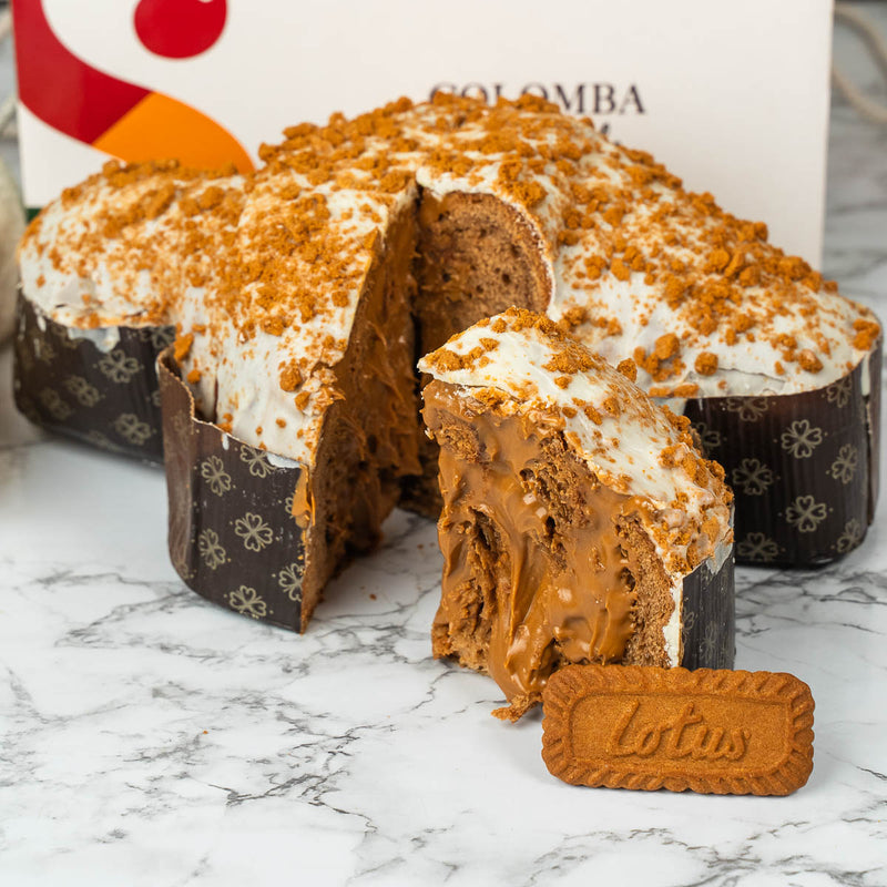 Colomba artigianale ciokolotus